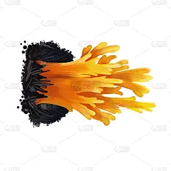 黄花或当地命名的长乐蘑菇特写数字艺术插图。生长在珊瑚上的黄色牛肝菌。末端分枝细分成尖锐的尖端。水中生