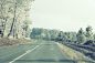 2015-01-Life-of-Pix-free-stock-photos-road-wood-wild-turn-julien-sister