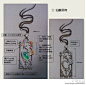 珠宝设计 原帖地址http://bbs.tianya.cn/post-funinfo-5776405-1.shtml