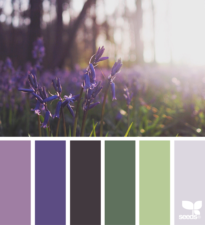 Design Seeds : Your ...