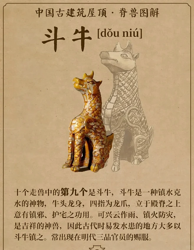 一组图看懂五脊六兽-花瓣网
