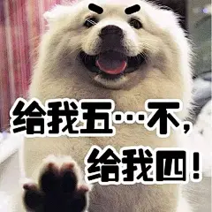 萨摩耶表情包_百度图片搜索