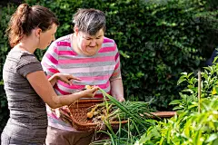 一名看护者向一名智障妇女展示如何从栽培床上收割洋葱