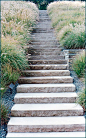 Limestone stone step staircase in a new jersey landscape. Stone + grasses