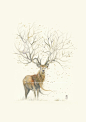 stag-fall-by-jongkie