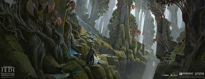 Forest of Pillars Ex...