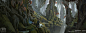 Forest of Pillars Explorations