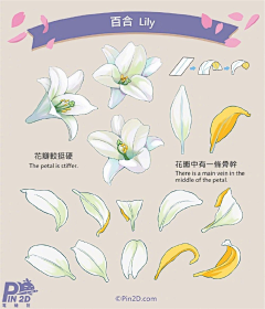 海咸河淡奴很甜采集到色彩植物插画