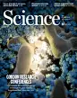Science十年震撼封面精选 : 【引语】本文梳理了过去将近十年的时间里 Science杂志的封面图片，遴选与材料相关的封面报道，以期总结十 ...