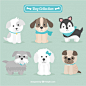 Lovely puppies Free Vector