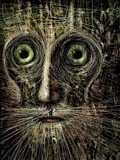 波兰插画家装饰图片眼睛颜色夸张抽象艺术超现实素材