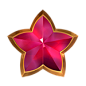 Star Guardian Council badge