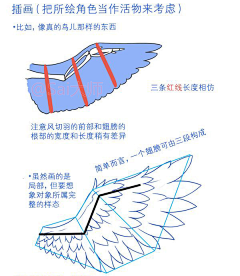 莫测的笑意采集到肢体结构