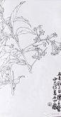 从白描到创作———陈子奋花鸟画合集
