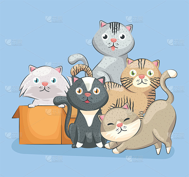 可爱的五只猫