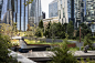 Projects - Waterline Square - Mathews Nielsen Landscape Architects