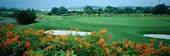 看大图 » 远行的蜗牛风景精选高清壁纸（宽屏全景）