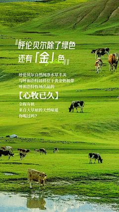 郗故若风采集到牛