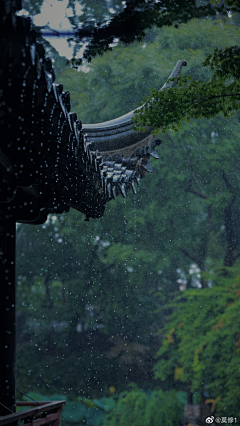 来如风雨，去似微尘-花瓣网|陪你做生活的设计师