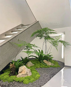 yvonnefeng采集到苔藓