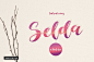 英文手写字体 素描风格字体 Selda Script Font Duo 字体下载 