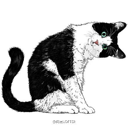 #LOFTER二次元# LOFTER插画...