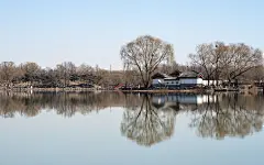 北京圆明园福海风景电脑壁纸  #优质# #静物# #风景#