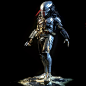 Predator