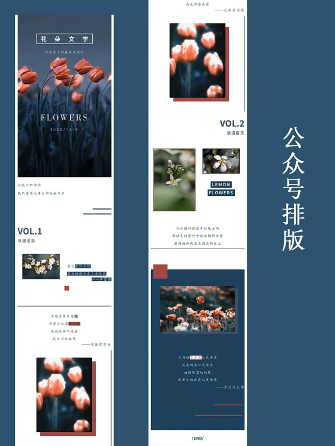 公众号排版——花朵文学-花瓣网