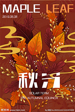 蓝色胖大海采集到插画收藏