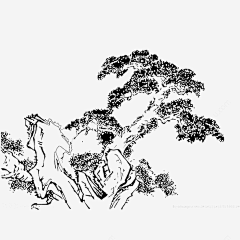 逍玉泽采集到s