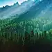 仙境森林 创意图片 - VCG41N690845244