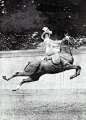 Corset, side saddle, chapeau... and mad skill, c. early 20th C.