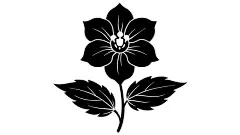 图源免费EPS文件 |风铃草剪影矢量插画