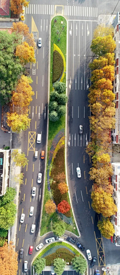 清风绕指采集到Landscape┃市政道路  绿道