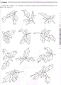 白描叶子 - 百度