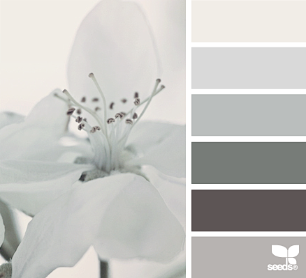 flora tones