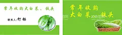 收购大白菜  - 源文件下载【酷图网】销售,批发,大白菜,收购,名片