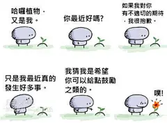 为了最后一幅~~~