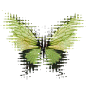 蝴蝶素材png