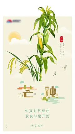 芒种节气简约手绘海报-采灵感-cailinggan.com
