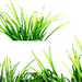PNG 植物 自然 免抠素材 草地 (8)