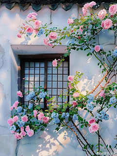 请叫我*美少女采集到那些花花