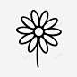 花金盏花雏菊图标高清素材 标识 页面网页 平面电商 创意素材 png素材