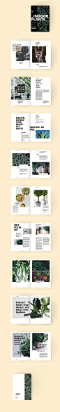 Indoor Plants : A Set of trendy minimalistic InDesign page layouts that will help you create a modern looking magazine. Grid based A4 template suitable also for catalogue, booklet, brochure and many more layouts. Also included a beginner friendly help fil