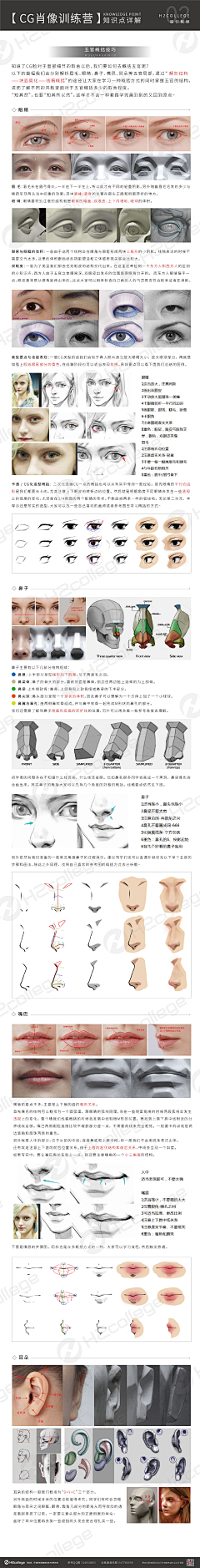 宴茶采集到五官 （结构）