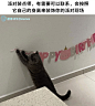 微博 – 随时随地发现新鲜事