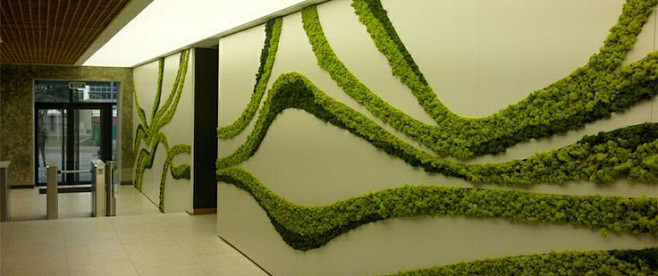 经典垂直绿墙设计