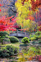 Moon Bridge in the Japanese Gardens - Fort Worth Botanical Gardens Texas