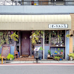 盖地虎采集到街区